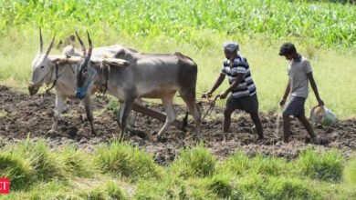NCCF estableció un objetivo de crecimiento de 45 piezas en la circulación de este año fiscal a 12,000CR para mejores negocios AGRI.