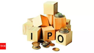Gran problema: Tata Cap IPO para abrir 6 de octubre