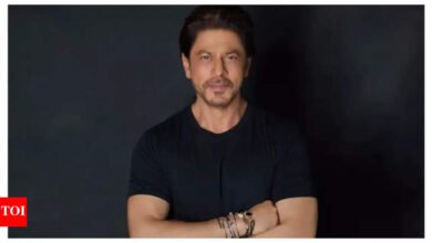 Hindi Movie News solicitó no prohibir sus ingresos cuando Shah Rukh Khan
