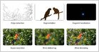 DeepMind: los modelos de video como VEO 3 podrían convertirse en modelos de Fundación de Propósito General para Vision, como LLM para Text, utilizando razonamiento de “cadena de marcos” de disparo cero (Simon Willison/Simon Willison’s Weblog)