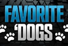 Perro favorito: Volver a Vanderbilt, Texas para proteger