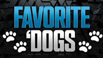 Perro favorito: Volver a Vanderbilt, Texas para proteger