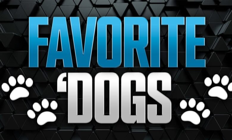Perro favorito: Volver a Vanderbilt, Texas para proteger