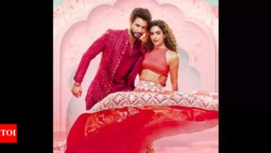 ‘Sunny Reformi Ki Tulsi Kumari’: Rohit Sarf ha encontrado su papel a través de la llamada personal, Sanaya Malhotra dice: “Quería una película en la que me parecía a mí”. Noticias de la película hindi