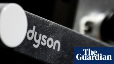 Las ganancias de Dyson caen en casi un 50% en el año ‘difícil’ | Dyson Ltd