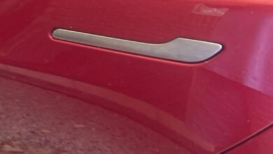 El amante demandó a Tesla sobre la manija de la puerta equivocada.