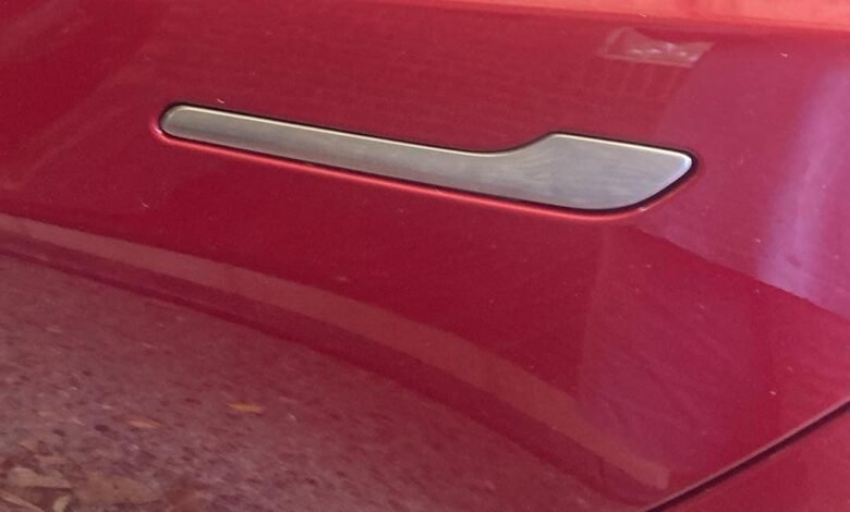El amante demandó a Tesla sobre la manija de la puerta equivocada. El amante demandó a Tesla sobre la manija de la puerta equivocada.