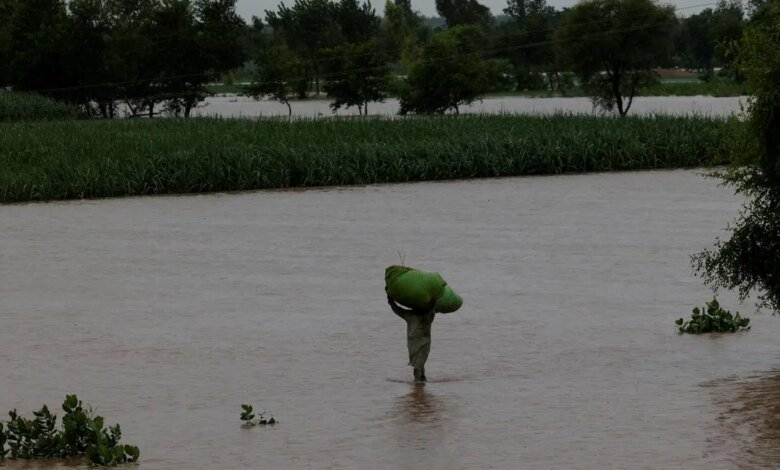 Los agricultores de Maharashtra aplastaron entre inundaciones y deuda