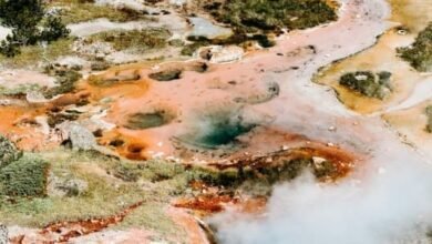 La innovación de IA acelera el desarrollo del calor bajo el mundo.