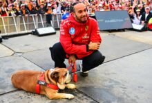 Lewis Hamilton dijo que Roscoe estaba en coma después de la neumonía, “estaba a su lado”