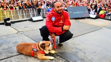 Lewis Hamilton dijo que Roscoe estaba en coma después de la neumonía, “estaba a su lado”