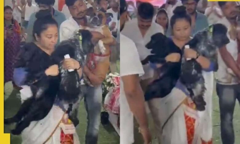 La esposa del cantante deja que su perro se despeje en el ataúd; Assam comparte videos de rango La esposa del cantante deja que su perro se despeje en el ataúd; Assam comparte videos de rango