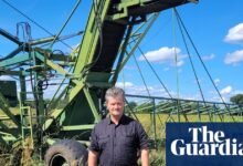 ‘No pude mirar’: agricultores europeos sobre la pérdida de cultivos mientras la industria choca con una sequía empeoramiento | Sequía