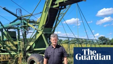 ‘No pude mirar’: agricultores europeos sobre la pérdida de cultivos mientras la industria choca con una sequía empeoramiento | Sequía
