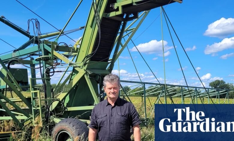 ‘No pude mirar’: agricultores europeos sobre la pérdida de cultivos mientras la industria choca con una sequía empeoramiento | Sequía