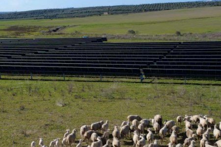 Fundici Solar Farm es poderosa y responsable de España. Fundici Solar Farm es poderosa y responsable de España.