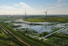 Alerion Clean Power ingresa al mercado irlandés con adquisición de parques eólicos