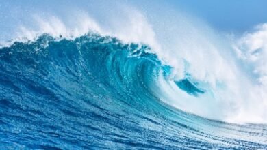 Eco Wave Power l.