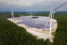 European Energy lanza el primer jardín híbrido.