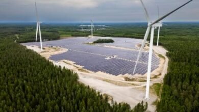 European Energy lanza el primer jardín híbrido.