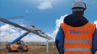 Trinasolar comienza la construcción de una planta solar de 21 MW en España