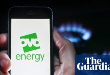 El futuro de OVO Energy en dudas después de no probar el estrés financiero | Industria energética