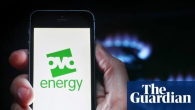 El futuro de OVO Energy en dudas después de no probar el estrés financiero | Industria energética