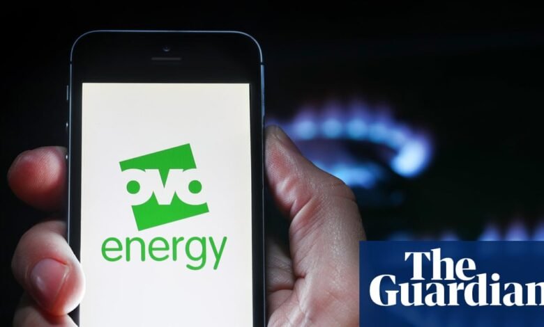 El futuro de OVO Energy en dudas después de no probar el estrés financiero | Industria energética