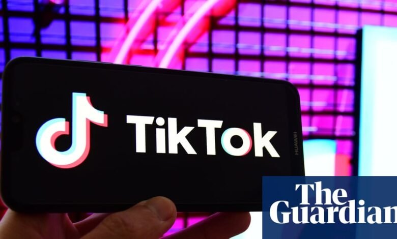 El legislador pide una investigación penal francesa sobre Tiktok | Francia