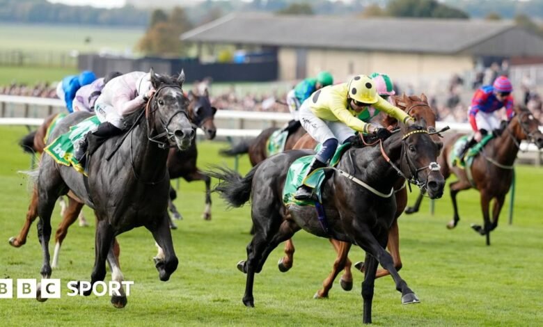 Cambridgeshire: el punto de ebullición abre indalo en el acabado fotográfico
