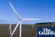 ¿Cuál es una decisión ambiental importante en el buzón de trabajo? – Política verde