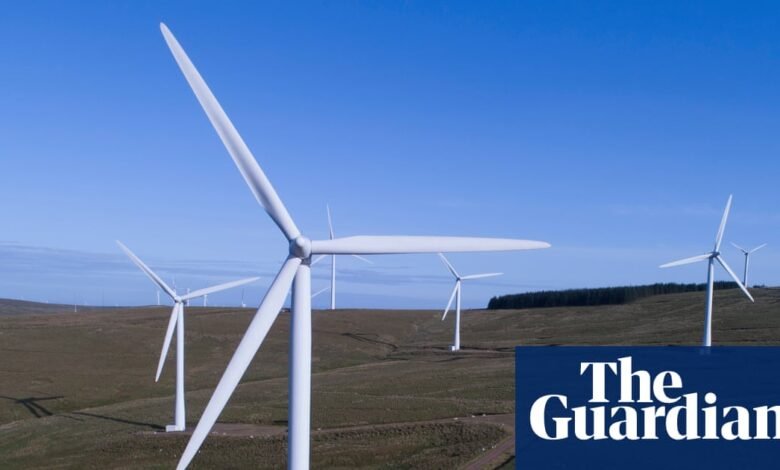 ¿Cuál es una decisión ambiental importante en el buzón de trabajo? – Política verde