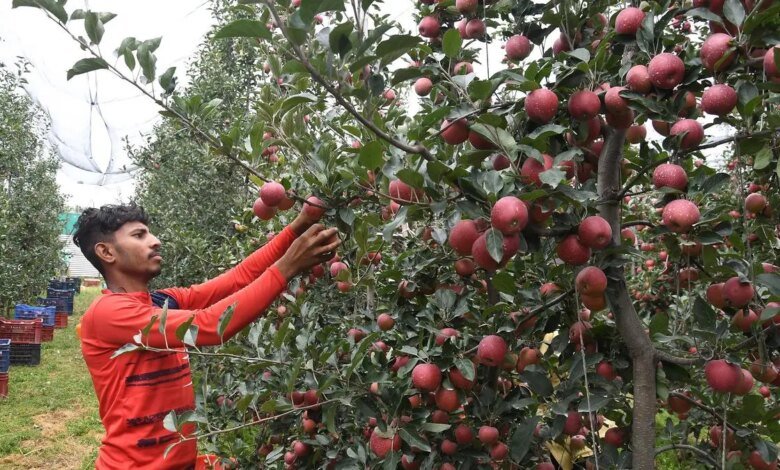 50 agricultores han sido honrados en Uttarak para marcar los 7 años del proyecto ‘Apple innato’.