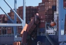 Docenas de contenedores se deslizan de un barco a un puerto de California