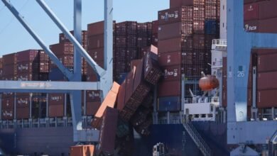 Docenas de contenedores se deslizan de un barco a un puerto de California