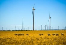 Neoen recibió una luz verde para el primer proyecto WA Wind, a pesar de la objeción al consejo local.