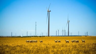 Neoen recibió una luz verde para el primer proyecto WA Wind, a pesar de la objeción al consejo local.