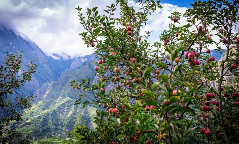 Project Innerspace lanza el proyecto de almacenamiento de calor bajo la India bajo el proyecto de recaudación de fondos.