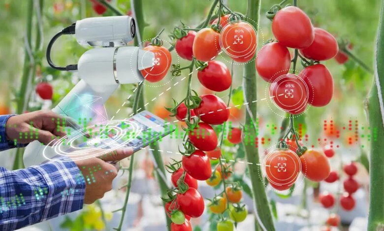 AI en la agricultura: tiempo para pasar de demostraciones a decisiones