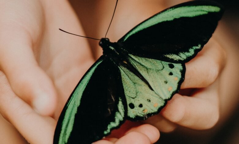 Ciencia y magia de los instintos
