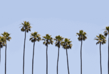 La tubería de aceite interior más grande de California en el curso para cerrar