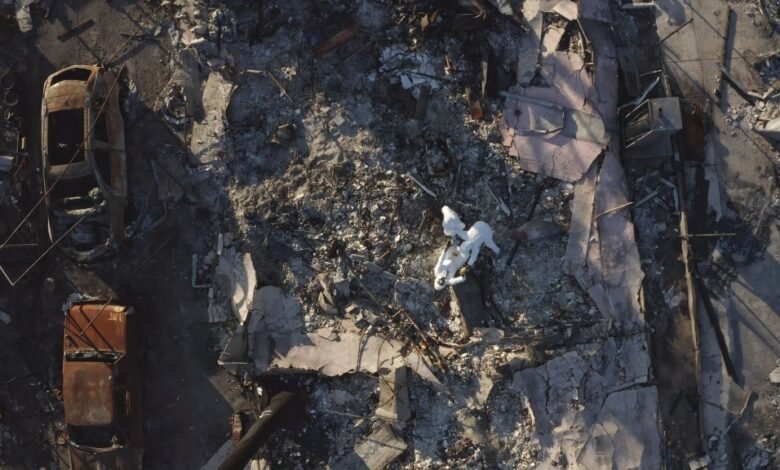 Ver el trailer documental del fuego de ITON ‘Todas las paredes bajan’