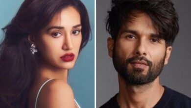 Disha Patani se ha unido a la próxima película de las enormes masas en un camuflaje especial frente a Shahid Kapoor: Bollywood News