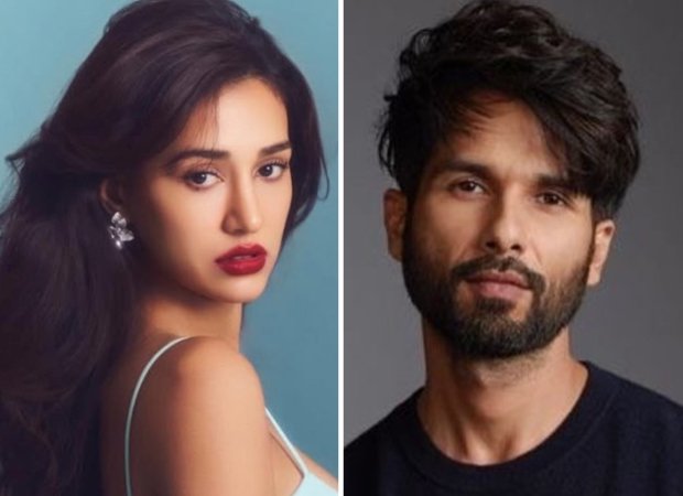 Disha Patani se ha unido a la próxima película de las enormes masas en un camuflaje especial frente a Shahid Kapoor: Bollywood News Disha Patani se ha unido a la próxima película de las enormes masas en un camuflaje especial frente a Shahid Kapoor: Bollywood News