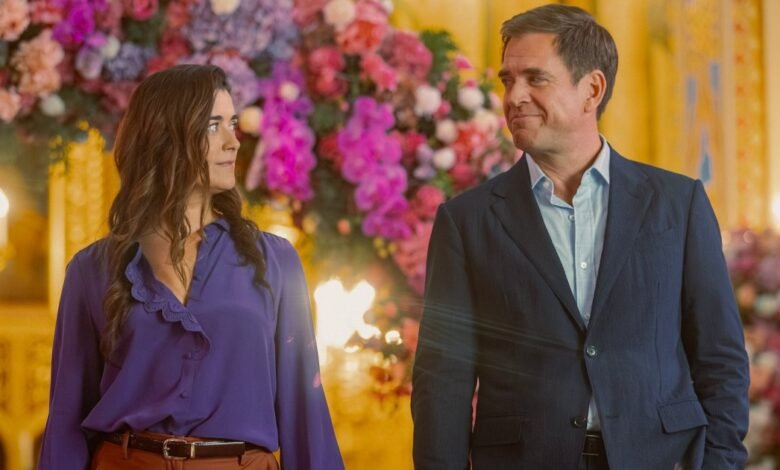 NCIS Tony y Ziva revelan sus años faltantes, la relación de la relación