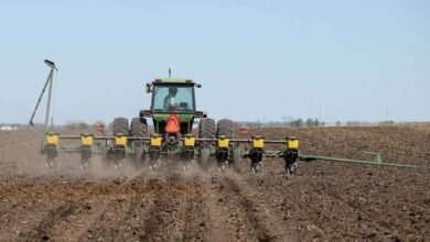 Nosotros para analizar a los proveedores de insumos agrícolas en el aumento de los costos