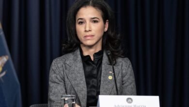 El mejor regulador criptográfico Adrienne Harris se reduce del Departamento de Servicios Financieros de Nueva York