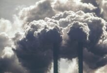 El departamento de energía de Trump prohíbe al personal decir ‘cambio climático’ o ‘verde’
