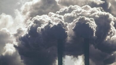 El departamento de energía de Trump prohíbe al personal decir ‘cambio climático’ o ‘verde’