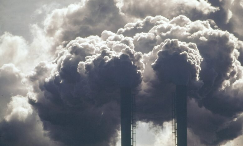 El departamento de energía de Trump prohíbe al personal decir ‘cambio climático’ o ‘verde’